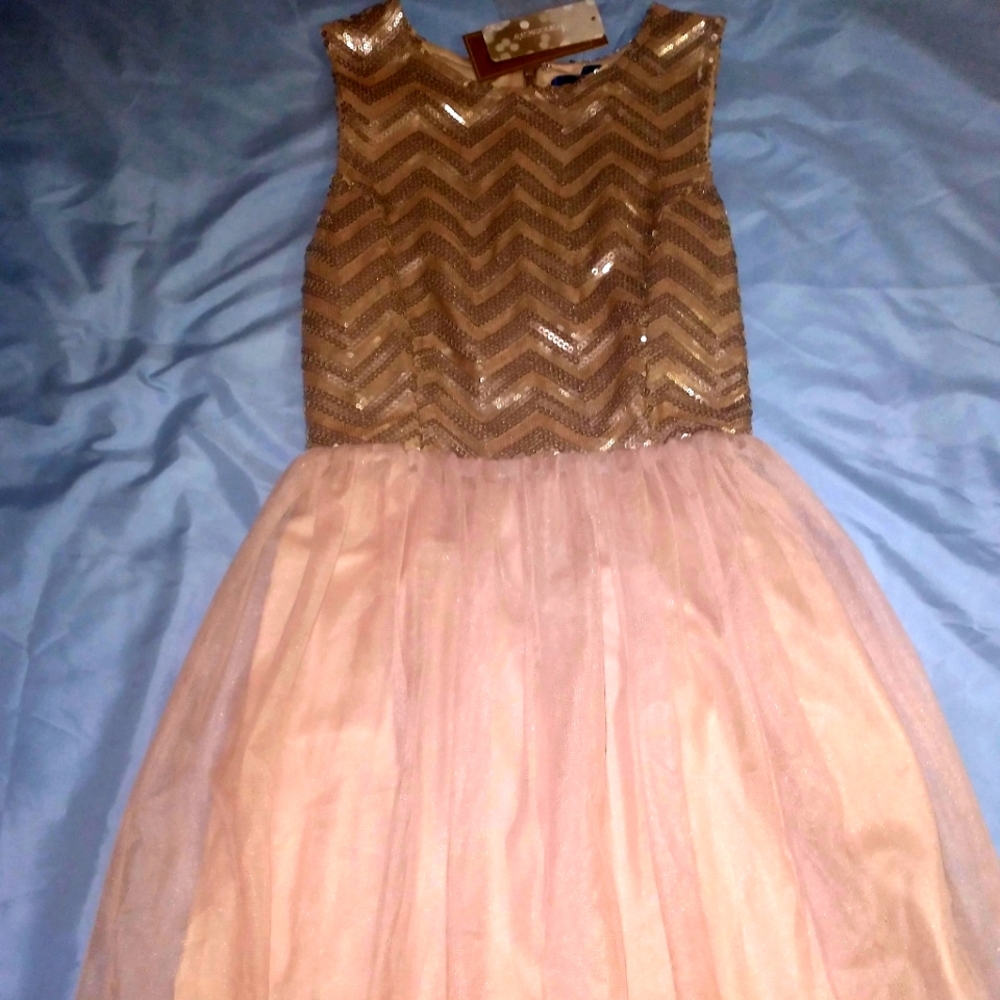Francesca's Rose Gold Dress